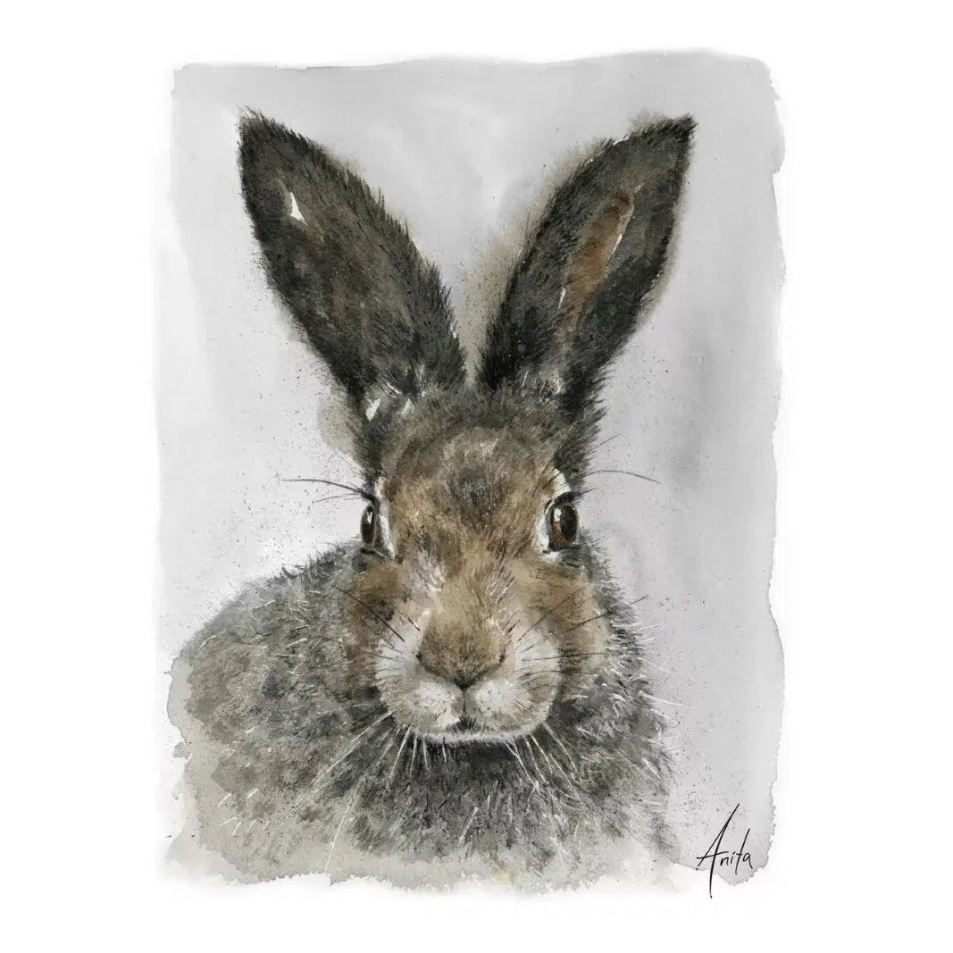 NordicWild Kunsttrykk Hare - 30x40cm - Akvarellpapir-Kunstrykk-NordicWild-Hyttefeber