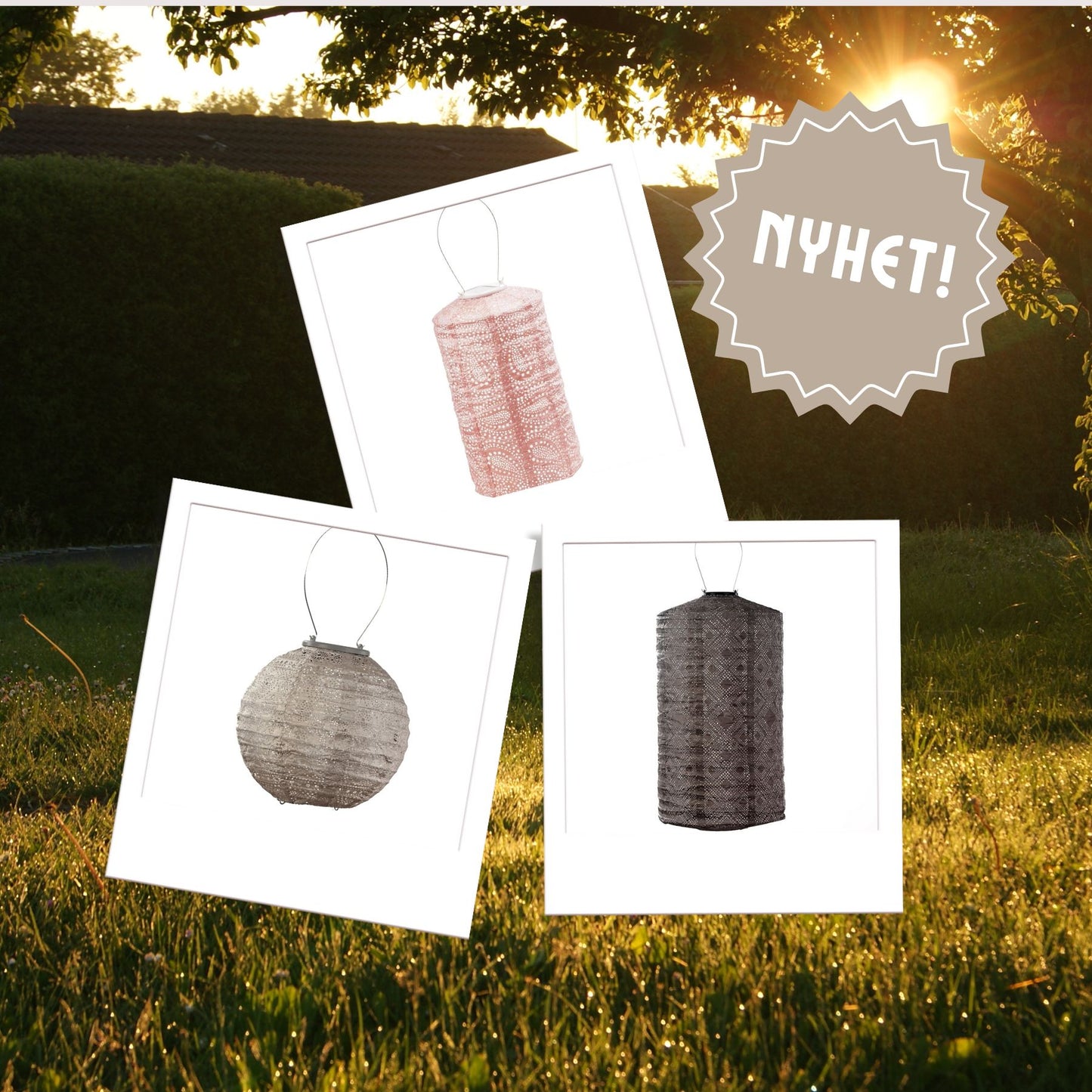 Utvalgte Lumiz-pakker: Harvest Hug-Lumiz-Hyttefeber