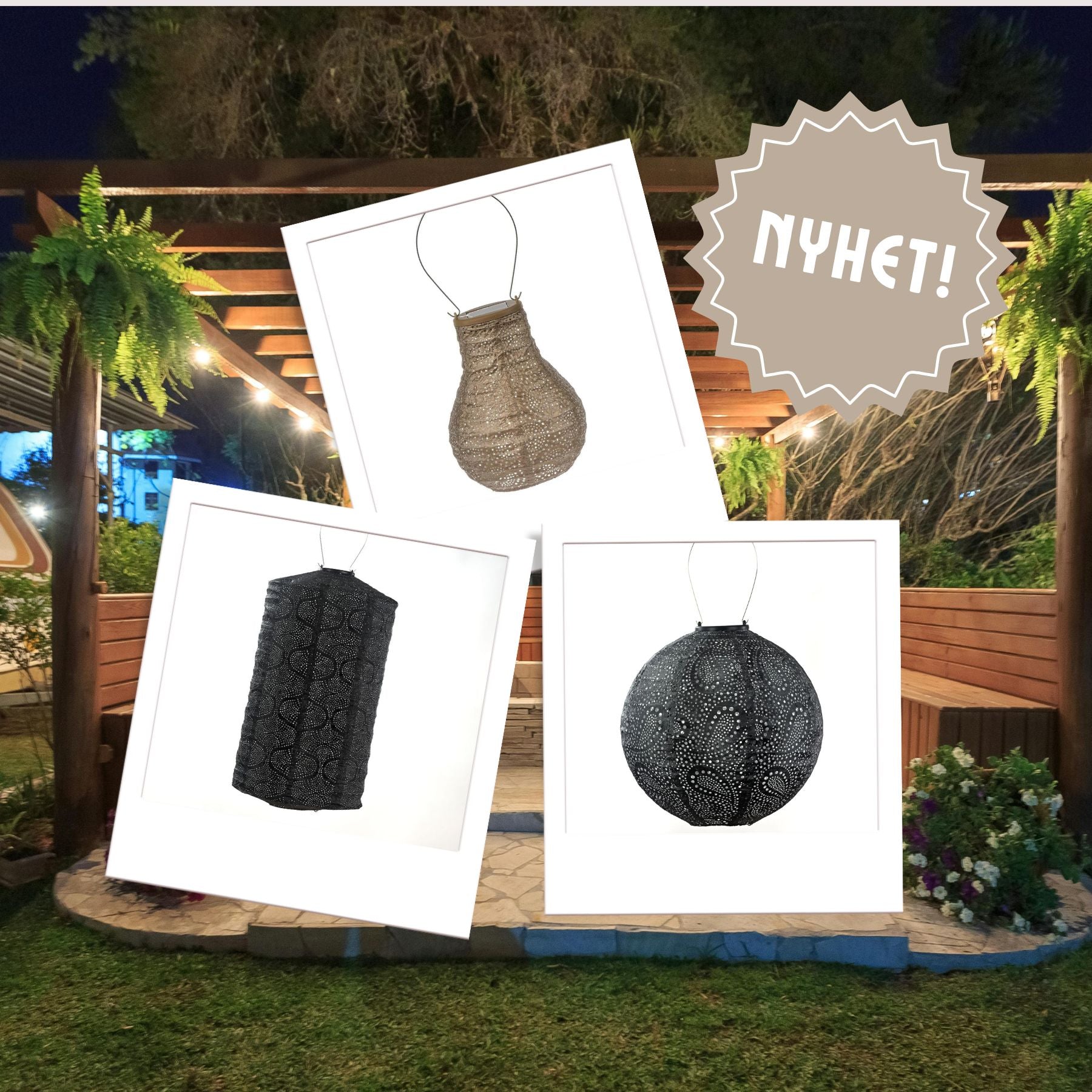 Utvalgte Lumiz-pakker: Black Gold-Lumiz-Hyttefeber