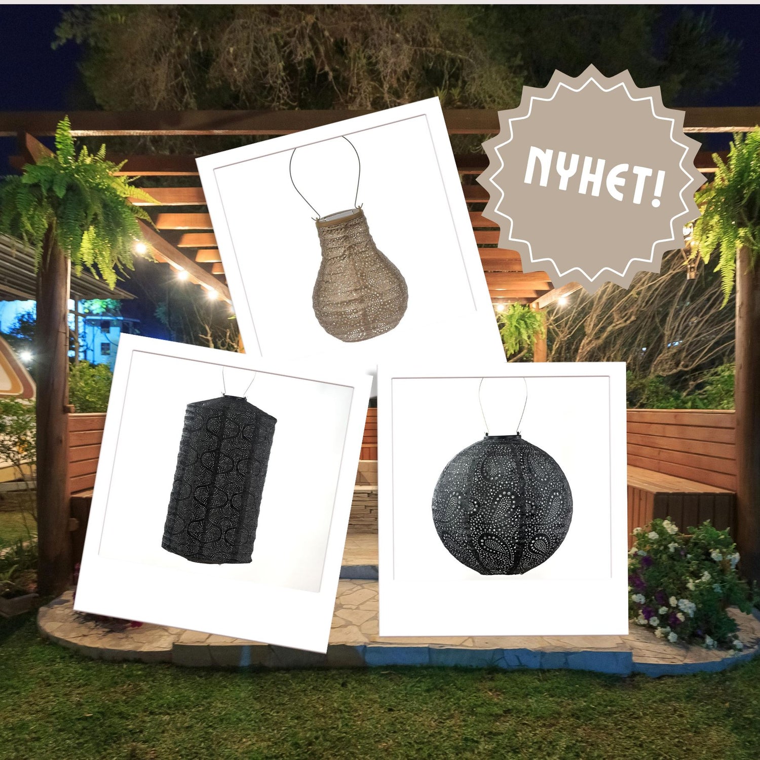 Utvalgte Lumiz-pakker: Black Gold-Lumiz-Hyttefeber